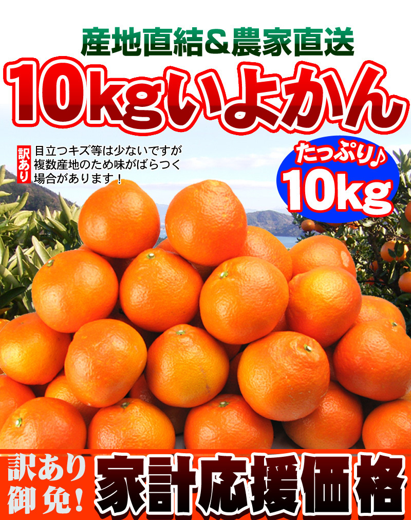 訳ありだから激安のいよかんを 訳あり伊予柑10kg 送料無料 これから冬にかけてみかんが美味しい季節 全国の甘いみかんを安く購入するなら